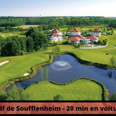 Duplex - Le Cosy - Hyper Centre Daire Haguenau Dış mekan fotoğraf