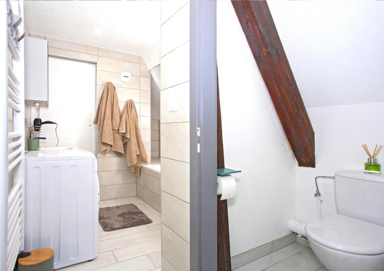 Duplex - Le Cosy - Hyper Centre Daire Haguenau Dış mekan fotoğraf
