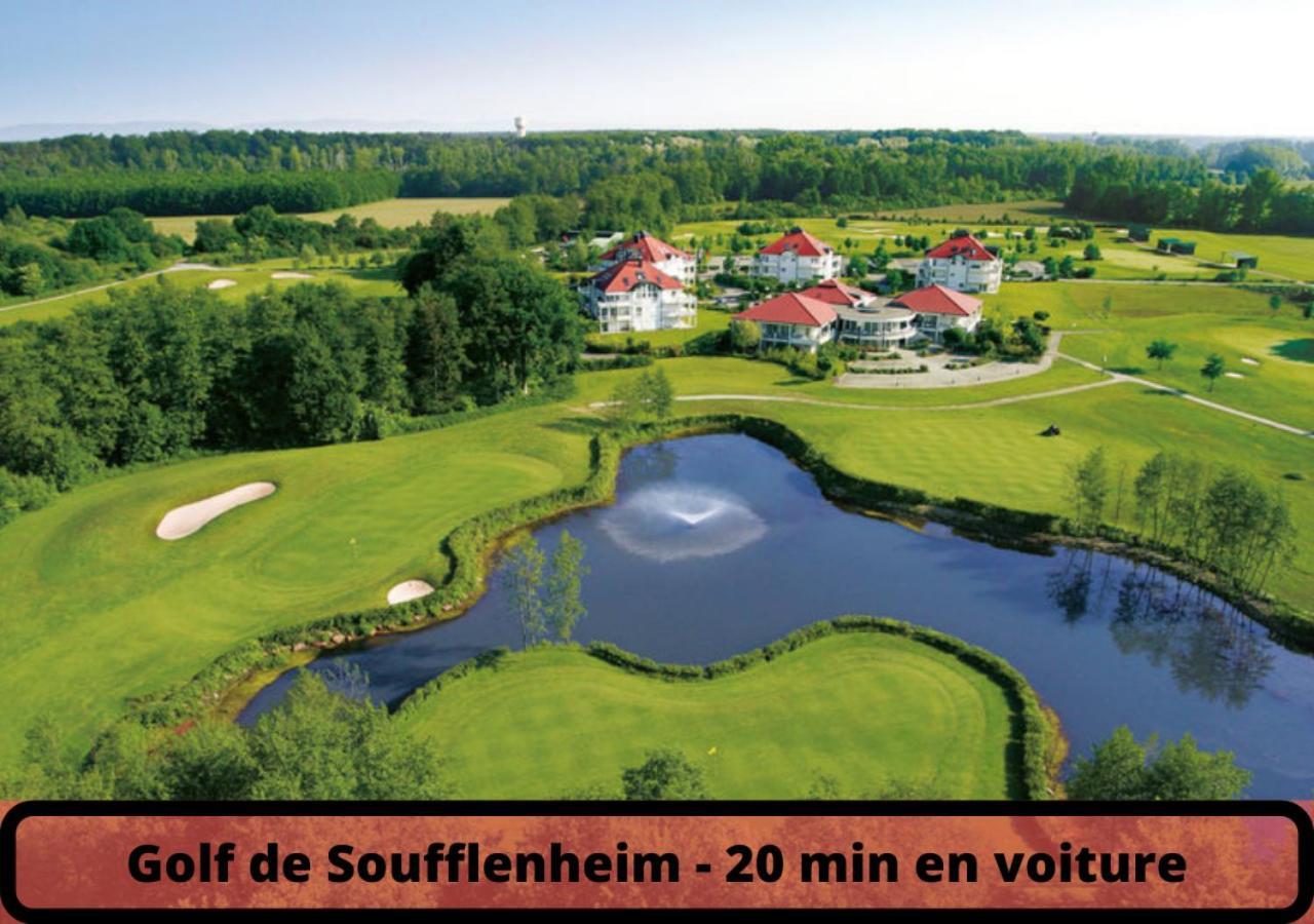 Duplex - Le Cosy - Hyper Centre Daire Haguenau Dış mekan fotoğraf