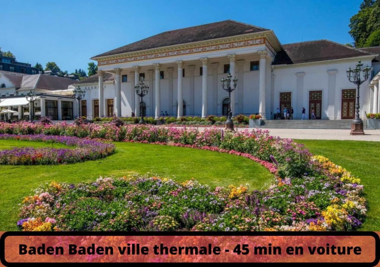 Duplex - Le Cosy - Hyper Centre Daire Haguenau Dış mekan fotoğraf
