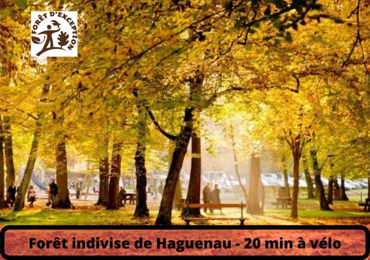 Duplex - Le Cosy - Hyper Centre Daire Haguenau Dış mekan fotoğraf